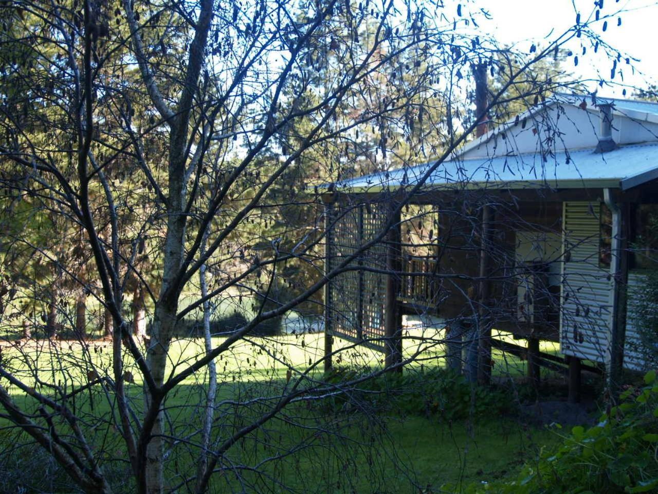 Hawke Brook Chalets Pemberton Exterior photo